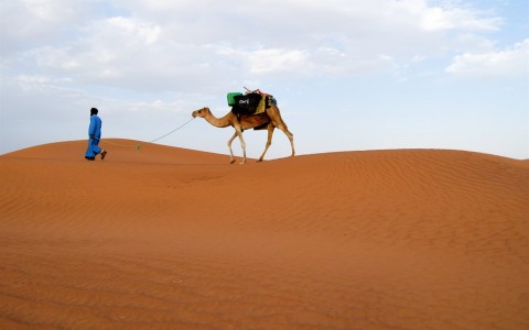 Maroc désert . Avril 25. date à Définir